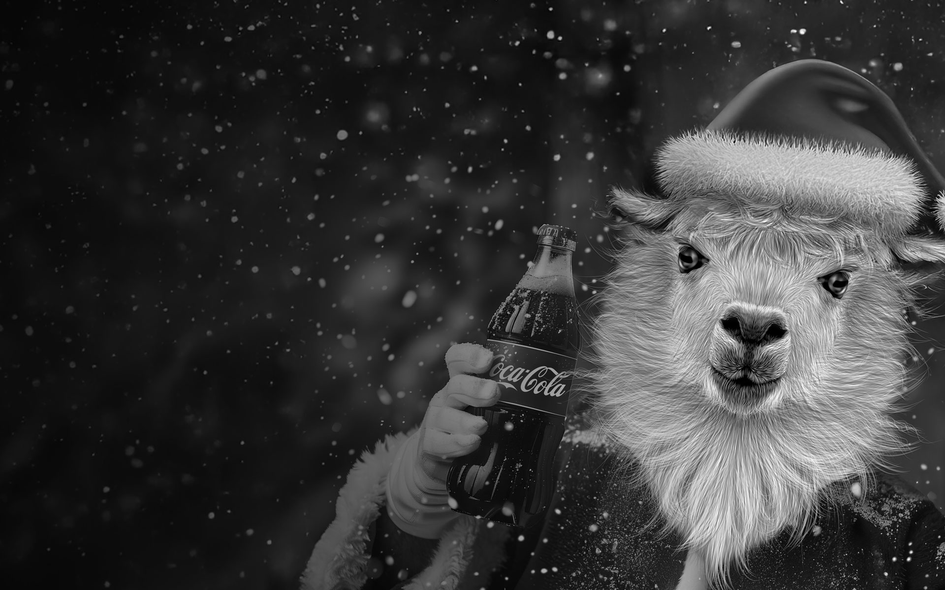 Creativité OAK-Webdesign